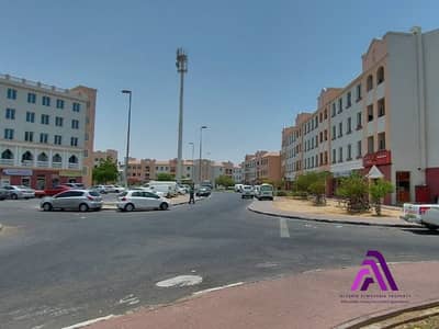 1 Bedroom Flat for Rent in International City, Dubai - WhatsApp Image 2024-01-06 at 12.25. 56 (4). jpeg