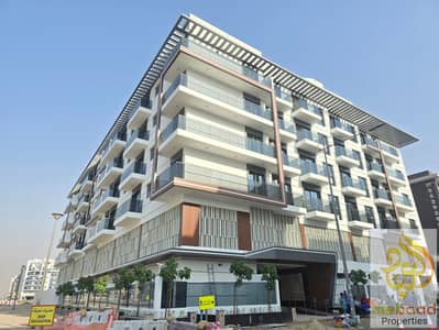 国际城， 迪拜 1 卧室公寓待租 - 1000021219. jpg