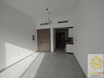 Studio for Rent in International City, Dubai - IMG_20250519_164031077. jpg