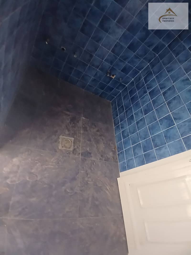 15 1000395734. jpg