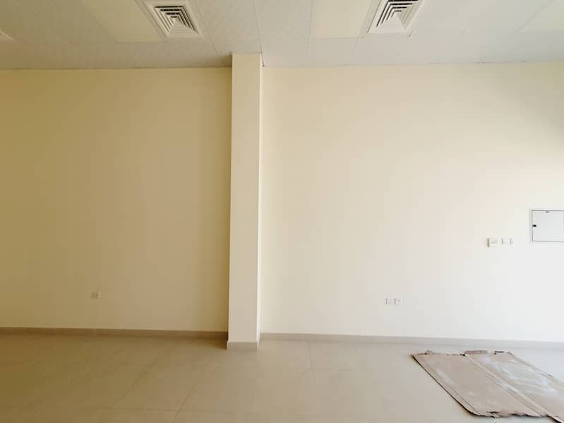 9 20250430_114546. jpg