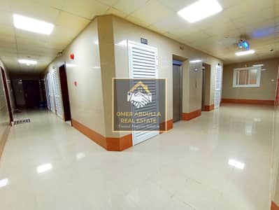 1 Bedroom Flat for Rent in Muwaileh Commercial, Sharjah - IMG_20250524_150723. jpg