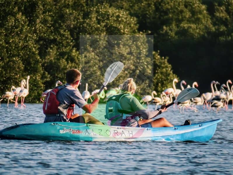 al_zorah_mangrove_tour_2020_may_28_quest_for_adventure_ajman_75538-full1591525995. png al_zorah_mangrove_tour_2020_may_28_quest_for_adventure_ajman_75538-full1591525995. png
