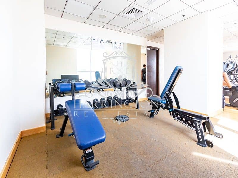 26 Copy of Olympic-Weight-Rack 2. jpg