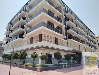 11 Bedroom Building for Sale in International City, Dubai - IMG_20250520_112018441~2. jpg