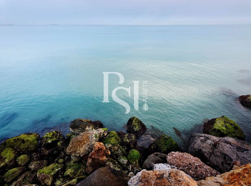 7 al-jurf-garden-abu-dhabi-beach-costal-seashore. jpg
