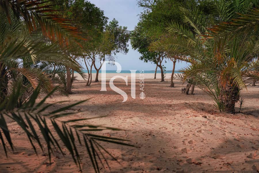 10 al-jurf-garden-abu-dhabi-nature-tress-seashore. jpg