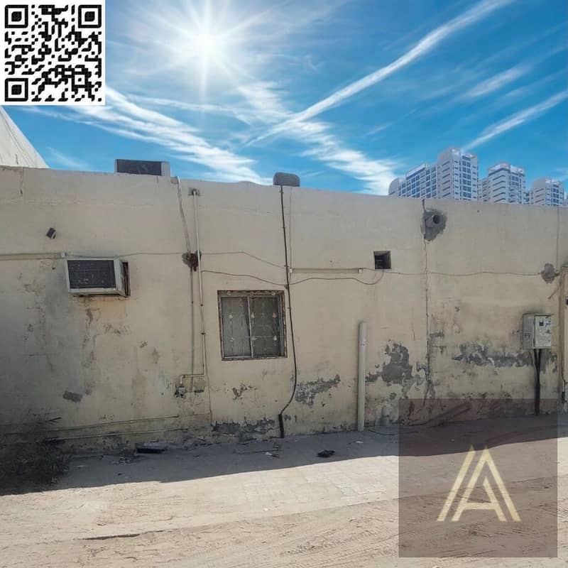 7 صورة واتساب بتاريخ 1446-10-23 في 15.40. 25_5c2e271e. jpg