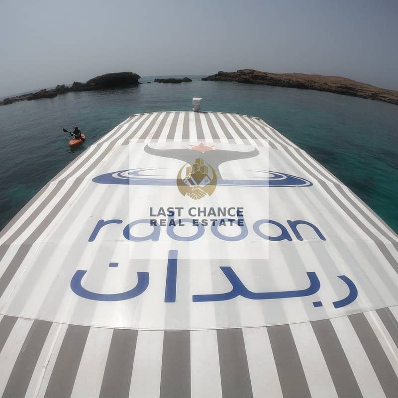 3 enjoy-the-ocean-life. jpg