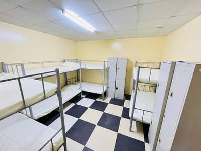 Labour Camp for Rent in Mussafah, Abu Dhabi - 11. jpeg