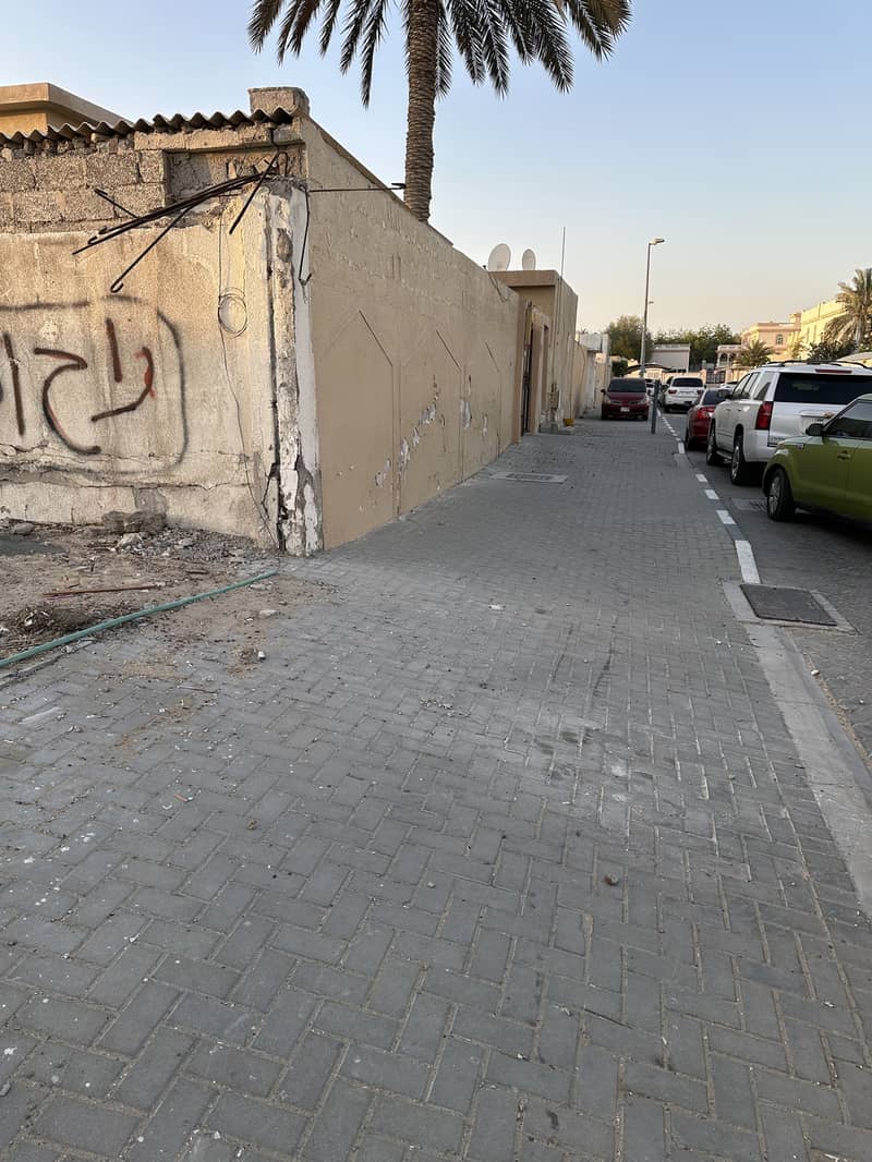 3 IMG_4786. jpeg