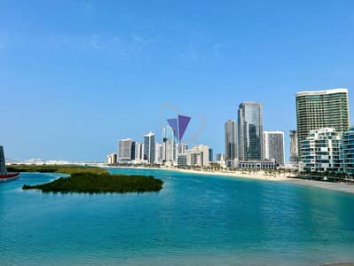 2 Bedroom Apartment for Rent in Al Reem Island, Abu Dhabi - WhatsApp Image 2025-01-30 at 4.36. 17 AM (37). jpeg