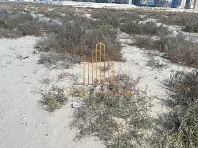 穆瓦利赫商业区， 夏尔迦 住宅地块待售 - WhatsApp Image 2025-04-27 at 12.13. 34 AM. jpeg
