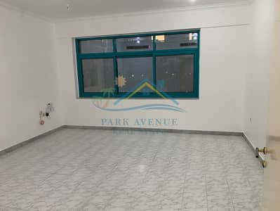 2 Bedroom Apartment for Rent in Hamdan Street, Abu Dhabi - IMG_9975. jpeg