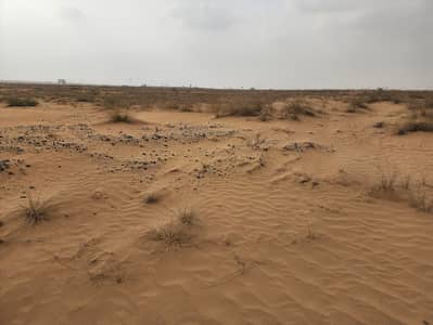Plot for Sale in Muzairah, Sharjah - e4773fce-2b56-4504-91d0-41a94f5fb6b5. jpeg