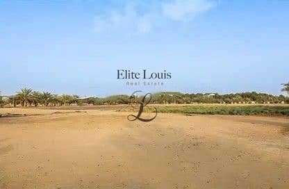 Plot for Sale in Shakhbout City, Abu Dhabi - 14200773-839deo. jpg