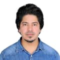 waseem abidi