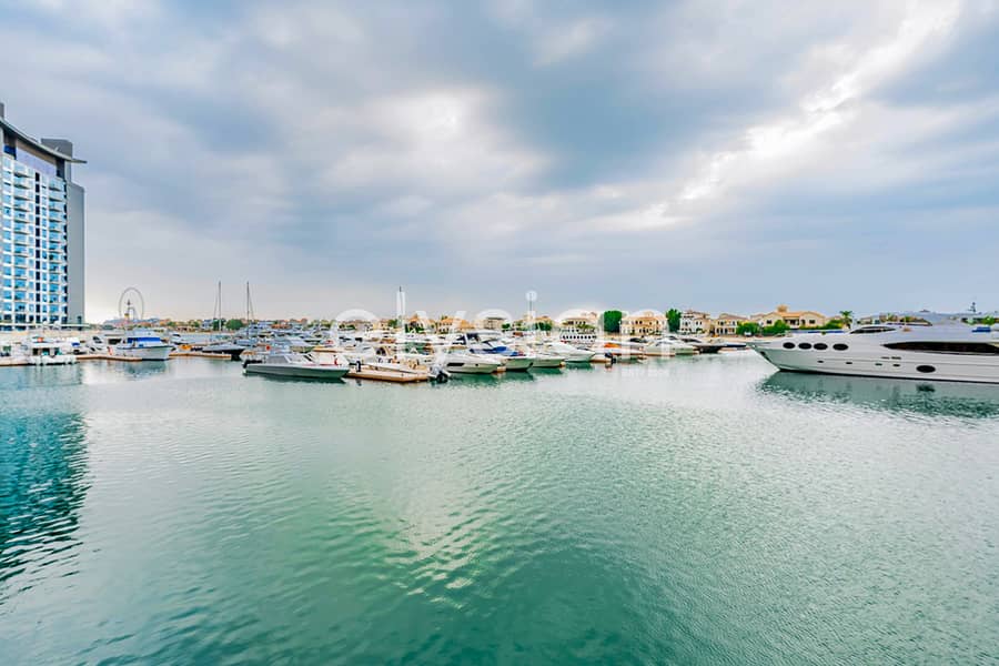 شقة في مارينا ريزيدنسز 1،مارينا ريزيدنسز،نخلة جميرا 3 غرف 7000000 درهم - 11780754 شقة في مارينا ريزيدنسز 1،مارينا ريزيدنسز،نخلة جميرا 3 غرف 7000000 درهم - 11780754