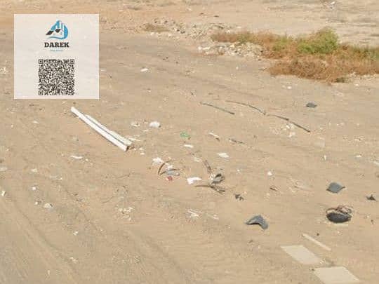 3 WhatsApp Image 2025-04-29 at 1.23. 46 PM. jpeg