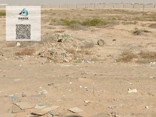 4 WhatsApp Image 2025-04-29 at 1.23. 47 PM (1). jpeg