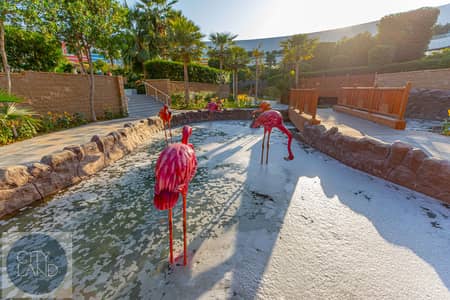 Shop for Rent in Global Village, Dubai - Garden-28. jpg