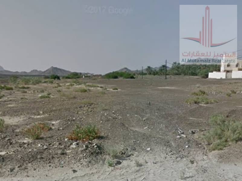 4 IMG_٢٠٢٥٠٥١٣_٠٩٥٦١٦. png