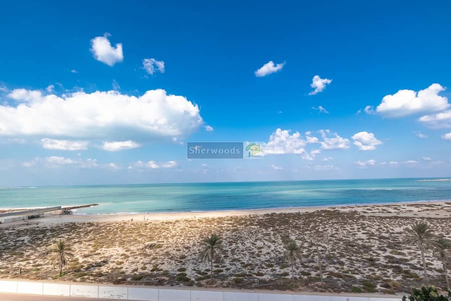 10 watermark (15). jpg