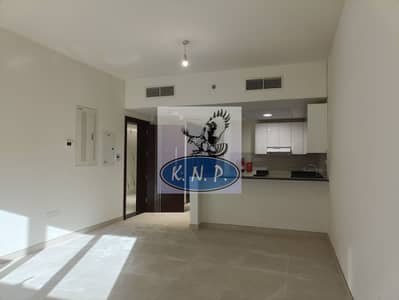 استوديو  للايجار في شارع المطار، أبوظبي - IMG20250527172142. jpg