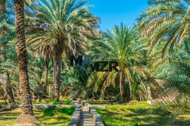 位于阿尔达弗拉,阿尔达弗拉1号 的其他商用物业 350000 AED - 10308509 位于阿尔达弗拉,阿尔达弗拉1号 的其他商用物业 350000 AED - 10308509