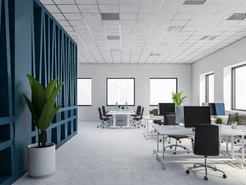 6 office 1. jpg