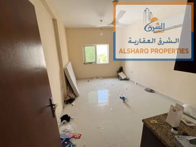 استوديو  للايجار في النخيل، عجمان - IMG-20250529-WA0112. jpg