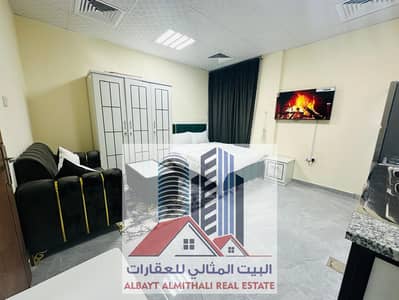 استوديو  للايجار في النخيل، عجمان - IMG-20250528-WA0001. jpg