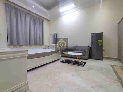 Studio for Rent in Mohammed Bin Zayed City, Abu Dhabi - IMG-20250525-WA0018. jpg