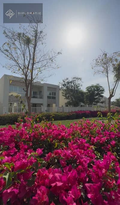 2 Bedroom Villa for Rent in Mina Al Arab, Ras Al Khaimah - WhatsApp Image 2025-05-29 at 17.15. 50_0ff02803. jpg