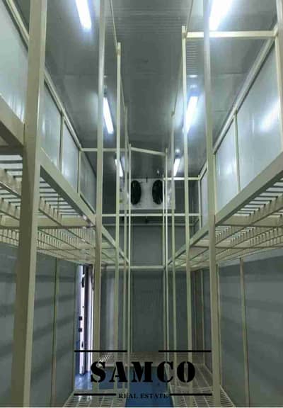 阿尔科兹， 迪拜 仓库待租 - 1000033145. jpg