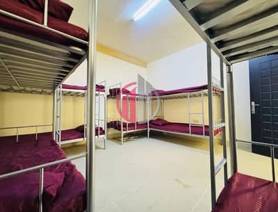Labour Camp for Rent in Mussafah, Abu Dhabi - 4. jpg