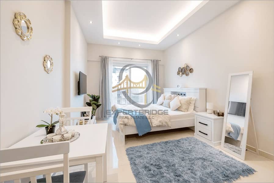 Fully Furnished I Upgraded I High ROI Fully Furnished I Upgraded I High ROI