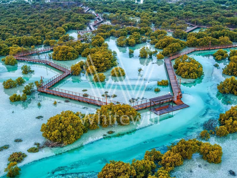 11 Jubail-Mangrove-Park-drone-. jpg