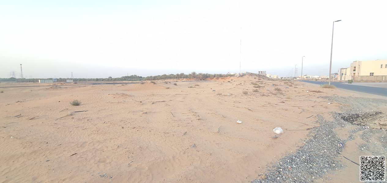 5 20250524_184122. jpg