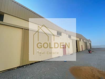 Warehouse for Rent in Umm Al Thuoob, Umm Al Quwain - WhatsApp Image 2025-05-08 at 11.47. 18 AM. jpeg
