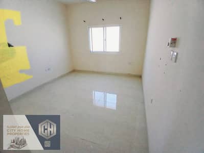 阿尔罗达， 阿治曼 单身公寓待租 - IMG-20250531-WA0060. jpg