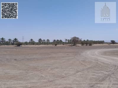Plot for Sale in Al Manama, Ajman - WhatsApp Image 2025-05-14 at 9.52. 55 AM. jpeg