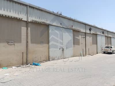 Warehouse for Rent in Industrial Area, Sharjah - WhatsApp Image 2025-06-01 at 12.29. 40 PM. jpeg