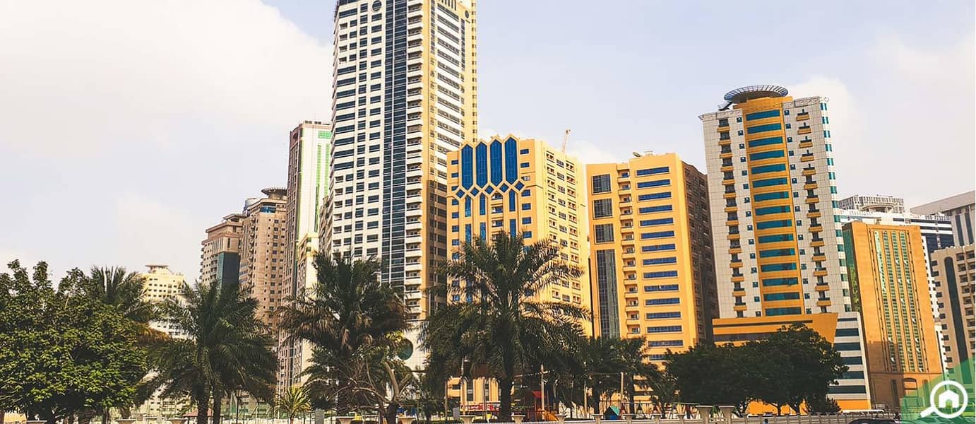 4 النهدة. jpg