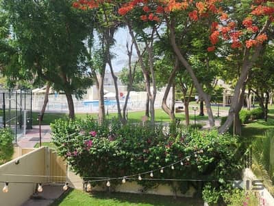 清泉社区， 迪拜 3 卧室别墅待租 - spring 14  1. jpg