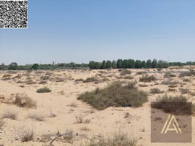 Plot for Sale in Al Alia, Ajman - IMG-20250601-WA0048. jpg
