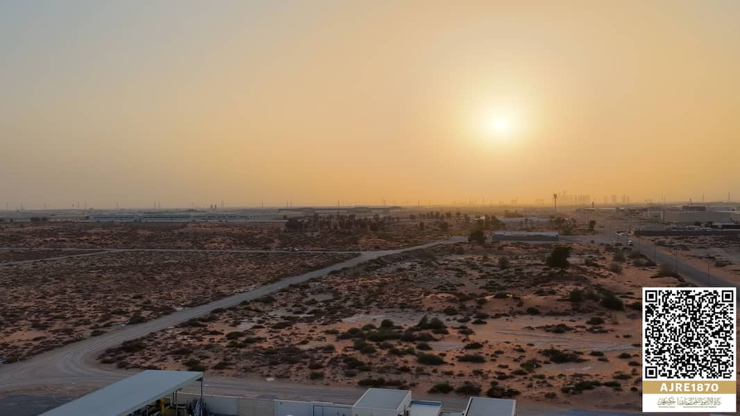 3 ╪º┘ä╪╡╪¼╪╣╪⌐. 00_00_19_33. Still010. jpg