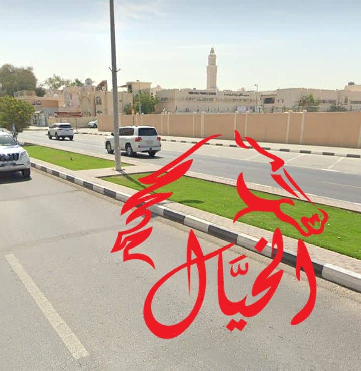 12 WhatsApp Image 2024-07-03 at 3.28. 27 AM. jpeg