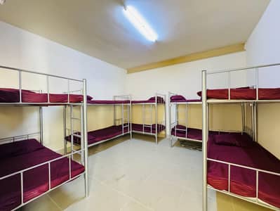سكن عمال  للايجار في مصفح، أبوظبي - IMG-20250524-WA0052. jpg