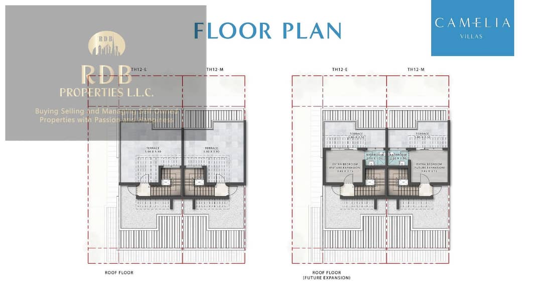 5 Camelia MASTER PLAN AND UNIT LOCATION + Presentation 10-01-23_page-0007. jpg